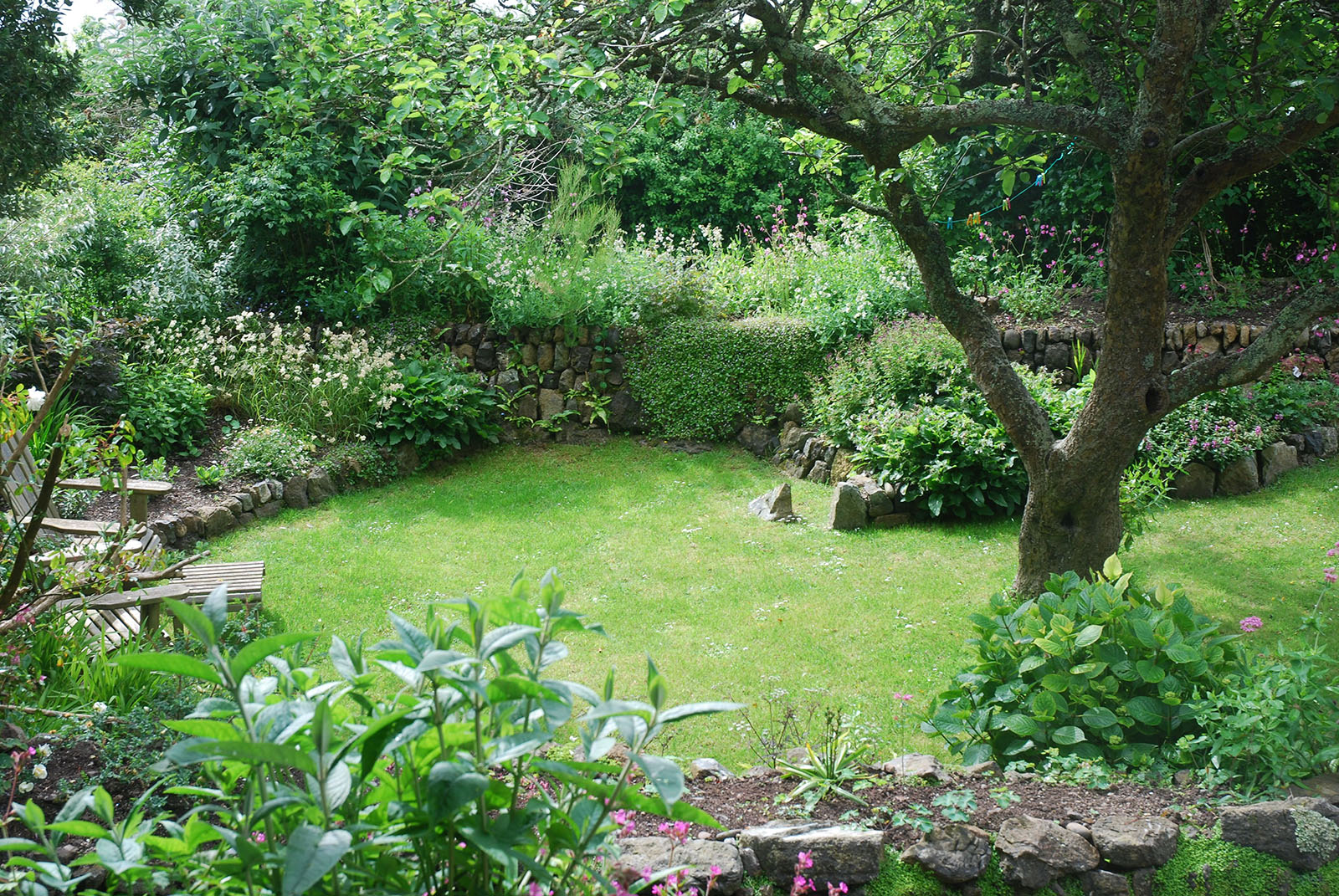 Sheltered area of Coverack Cottage Garden