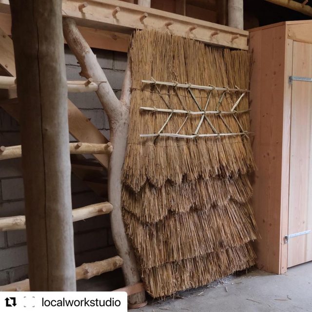 #Repost localworkstudio
・・・
Difficult to put into words our experience in Denmark. Thatching with expert craftspeople; listening by candlelight to farmers, architects and artists; bare feet on soaped Douglas Fir boards; the dark sauna, freezing cold water; mist and mud. We learned a lot and came home with a rich store of new knowledge and inspiration to draw on when the spreadsheets and zoom calls get too much. #harvesttohouse #høsttilhus in the fine company of djernesandbell sommerskolen.info hanspeterdinesen nicholas___brookz jordbo_dk #lwsjournal #thatch #thatching #thatcharchitecture