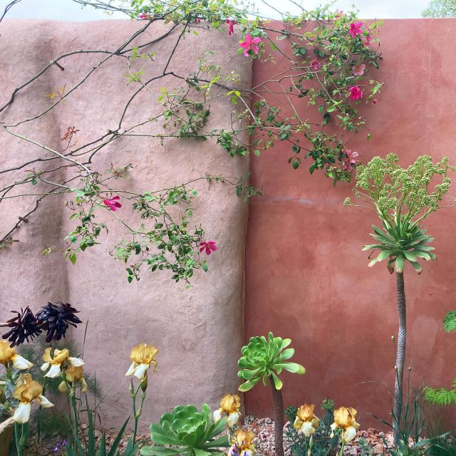 Chelsea Flower Show 2023: Straw-bale walls 🌾 Nurture Garden designed by @sarahpricelandscapes. Large sections of the boundary walls for Sarah’s garden were made with straw bales, and coated with raw, unpainted render, applied by @guyvalentineltd. The bales gave a thickness and solidity to the walls, in contrast to the thin, painted canvas screens. We borrowed from thatching techniques to stake the bales with Hazel rods, and stitched and tied them back to a frame, using a long steel needle 🪡. We chose the bales as ideal low-carbon walling for the temporary exhibition at Chelsea, and they’ll be composted after the show. Our renders show the undulations of the bales, and were coloured using excavated sand from nearby @crocus.co.uk (excavated whilst building a new reservoir), natural pigments and brick dust. Curved sections in the walls were formed with small cylindrical bales that we made using waste hop bines from @abushelofhops. These allowed for more sculptural shapes to be formed around the planting. See our website (link in bio) for more on our contribution to the garden. @rachel_asl @garden_build @thenurturegroup #strawbale #strawbalegarden #chelseagardenshow #strawarchitecture #naturalbuilding #materialdesign #lwsjournal