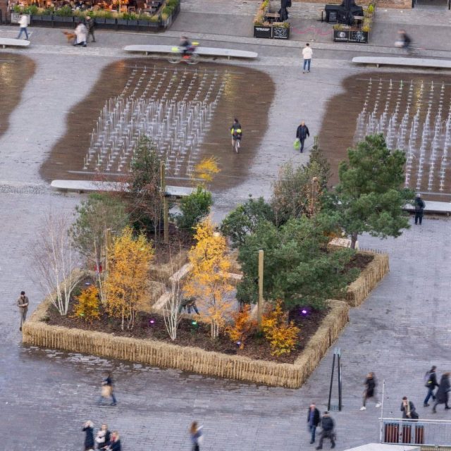 Repost from localworkstudio 

This is ‘Fleeting Forest’, this years winter art installation at Granary Square, Kings Cross that we designed with assembleofficial in collaboration with webbyates (engineers) studio_dekka (lighting), aswarm_works and Cameron Bray from csm_architecture_march (sound), and rebecca.heald (curator). The Fleeting Forest is an assemblage of trees, passing through the square on a winter stop-over, on their way to permanent homes in public parks, community gardens and schools elsewhere in London. The installation embraces the seasonality of the winter woodland - of bare branches, fallen leaves, berries and damp earth - as an alternative to the the traditional cut and decorated Christmas tree. We’ve tried to create a human scale square within a square. At the heart of the project is an exploration of how a temporary installation can positively impact communities and environments beyond its confines - through the way we sensitively gather and disperse materials. We’ll be sharing more insight into this as well as some stories of how the project has been designed and built, over the coming days. Photo credit: Images 1-5 and 8-9 by John Sturrock. #granarysquare #fleetingforest #kingscross #publicart #woodlands #lwsjournal #stagingurbanlandscapes