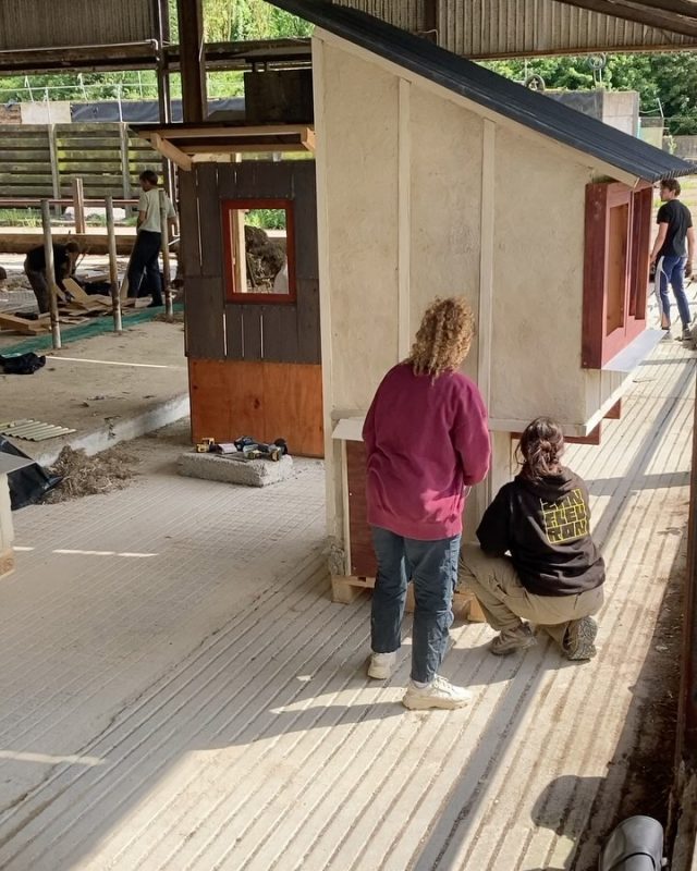 Fun week of building with @assemble_studio_epfl 🏘️ Great to be part of a year of teaching architecture that provides focussed making sessions like this. Students have mapped local materials and processing possibilities for their projects. They’ve collected, sampled and prototyped ways of building that use: timber, hemp, straw, clay bricks and plasters, lime renders and natural paints. @assembleofficial @epflarchitecture #architecture #sustainablearchitecture #hemp #hemparchitecture #timberarchitecture #clayarchitecture #strawarchitecture #naturalmaterials #buildingcraft #lwsjournal #plantbasedarchitecture #eartharchitecture #materialdesign #limerender #teachingarchitecture #universityarchitecture #collegearchitecture #architecturaldesign #architecturestudents #studentarchitecture #studentarchitectureproject #cob #cobbuilding #timberarchitecture #prototyping #prototypearchitecture #clayplaster